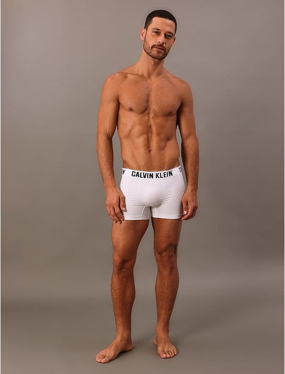 Kit 2 Underwear Trunk Seamless Sem Costura Cueca Calvin Klein - Multicolor Kit 2 Underwear Trunk Seamless Sem Costura Cueca Calvin Klein Multicolor m